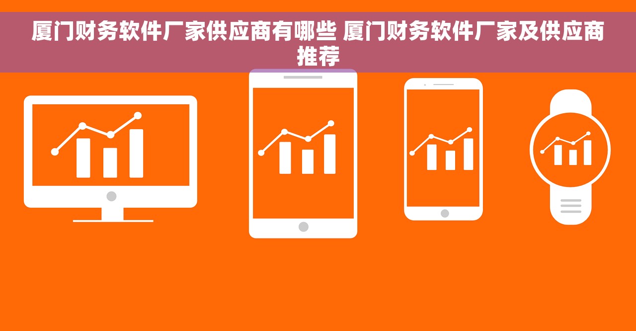 厦门财务软件厂家供应商有哪些 厦门财务软件厂家及供应商推荐