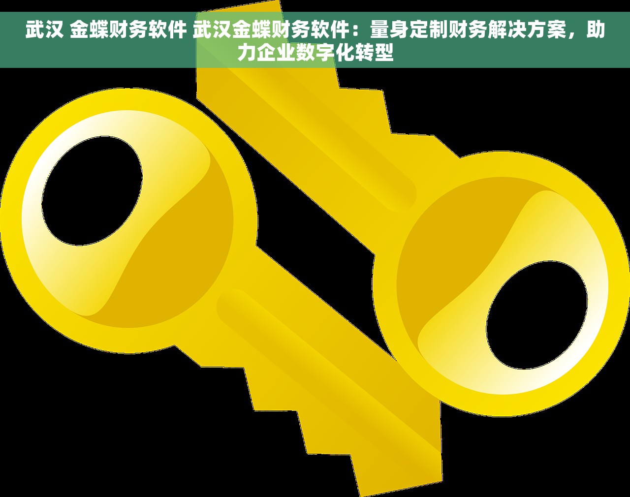 武汉 金蝶财务软件 武汉金蝶财务软件：量身定制财务解决方案，助力企业数字化转型