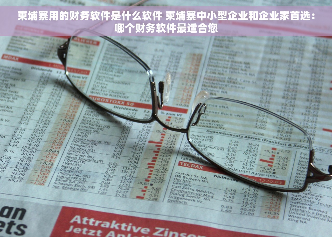 柬埔寨用的财务软件是什么软件 柬埔寨中小型企业和企业家首选：哪个财务软件最适合您