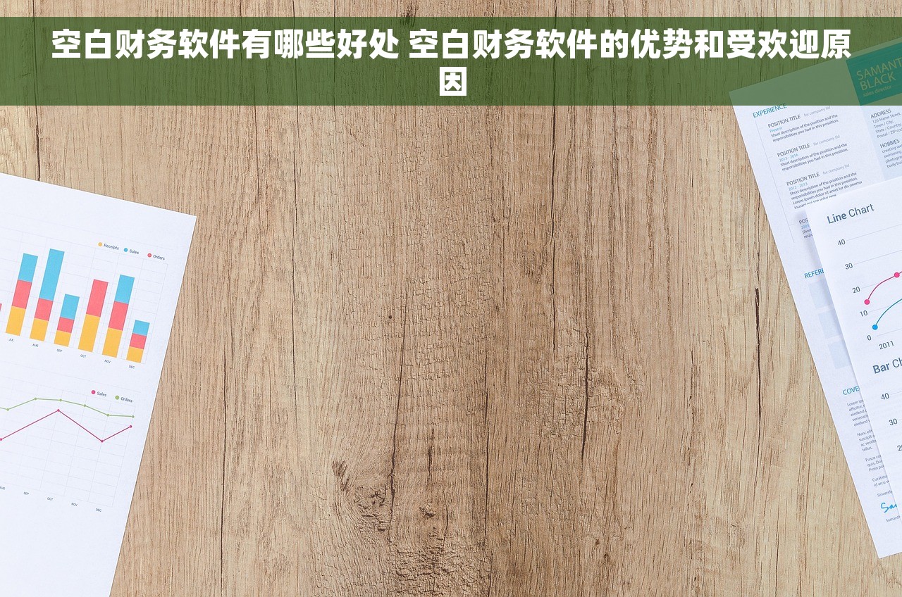 空白财务软件有哪些好处 空白财务软件的优势和受欢迎原因