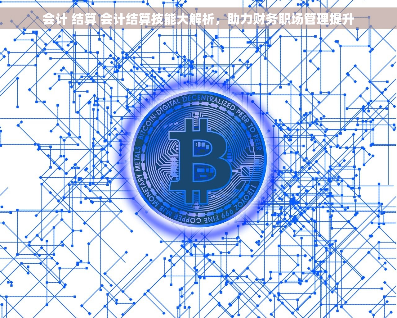 会计 结算 会计结算技能大解析，助力财务职场管理提升