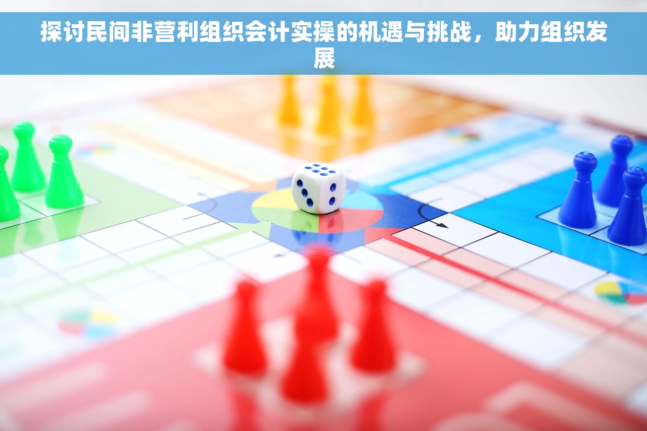 探讨民间非营利组织会计实操的机遇与挑战，助力组织发展