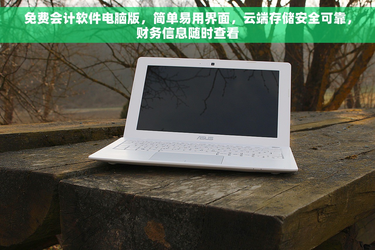 免费会计软件电脑版，简单易用界面，云端存储安全可靠，财务信息随时查看