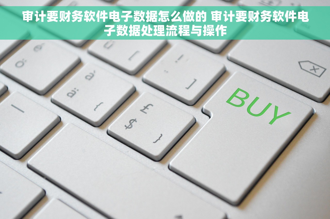 审计要财务软件电子数据怎么做的 审计要财务软件电子数据处理流程与操作
