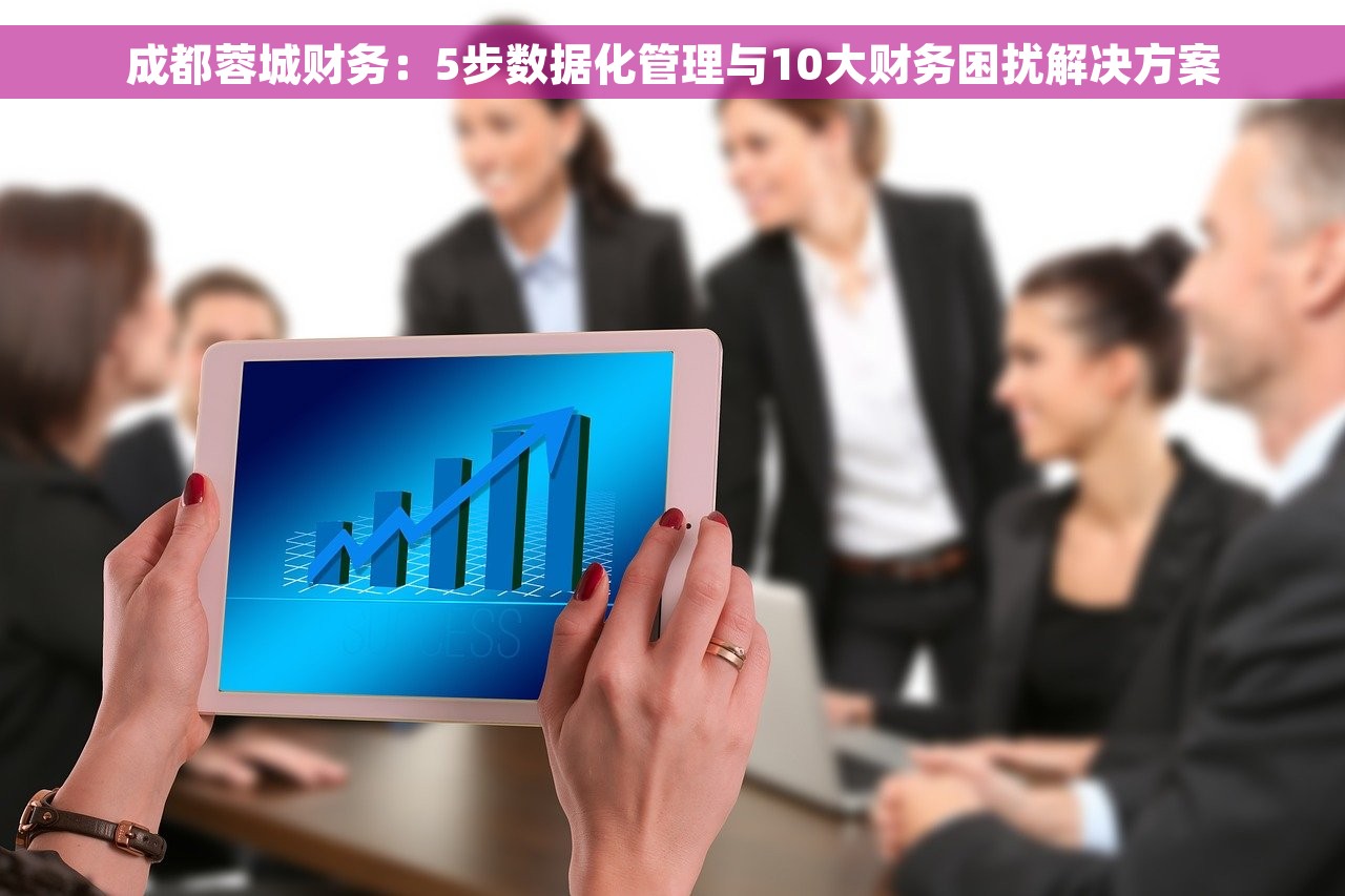 成都蓉城财务：5步数据化管理与10大财务困扰解决方案