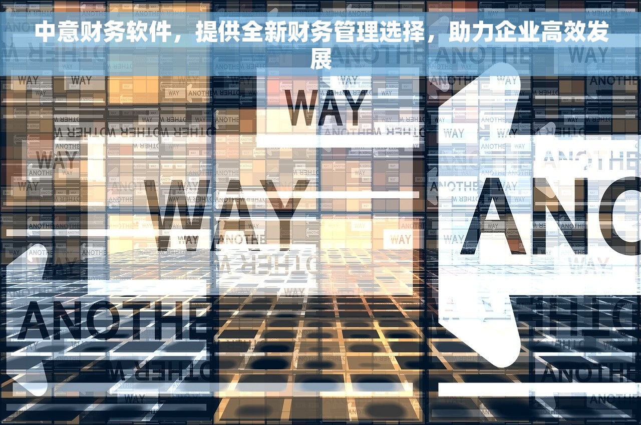 中意财务软件，提供全新财务管理选择，助力企业高效发展