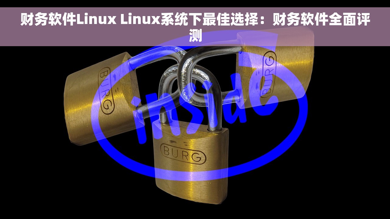 财务软件Linux Linux系统下最佳选择：财务软件全面评测