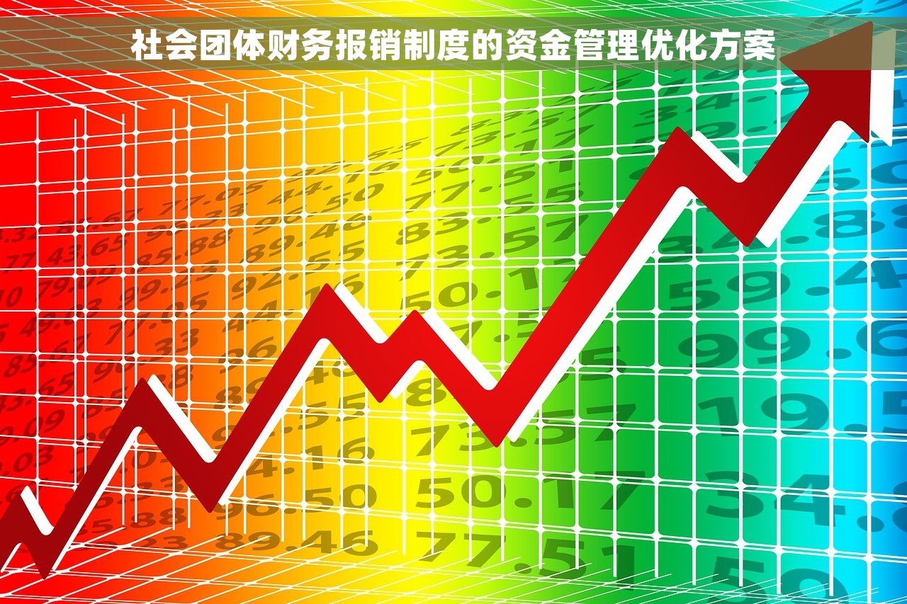 社会团体财务报销制度的资金管理优化方案