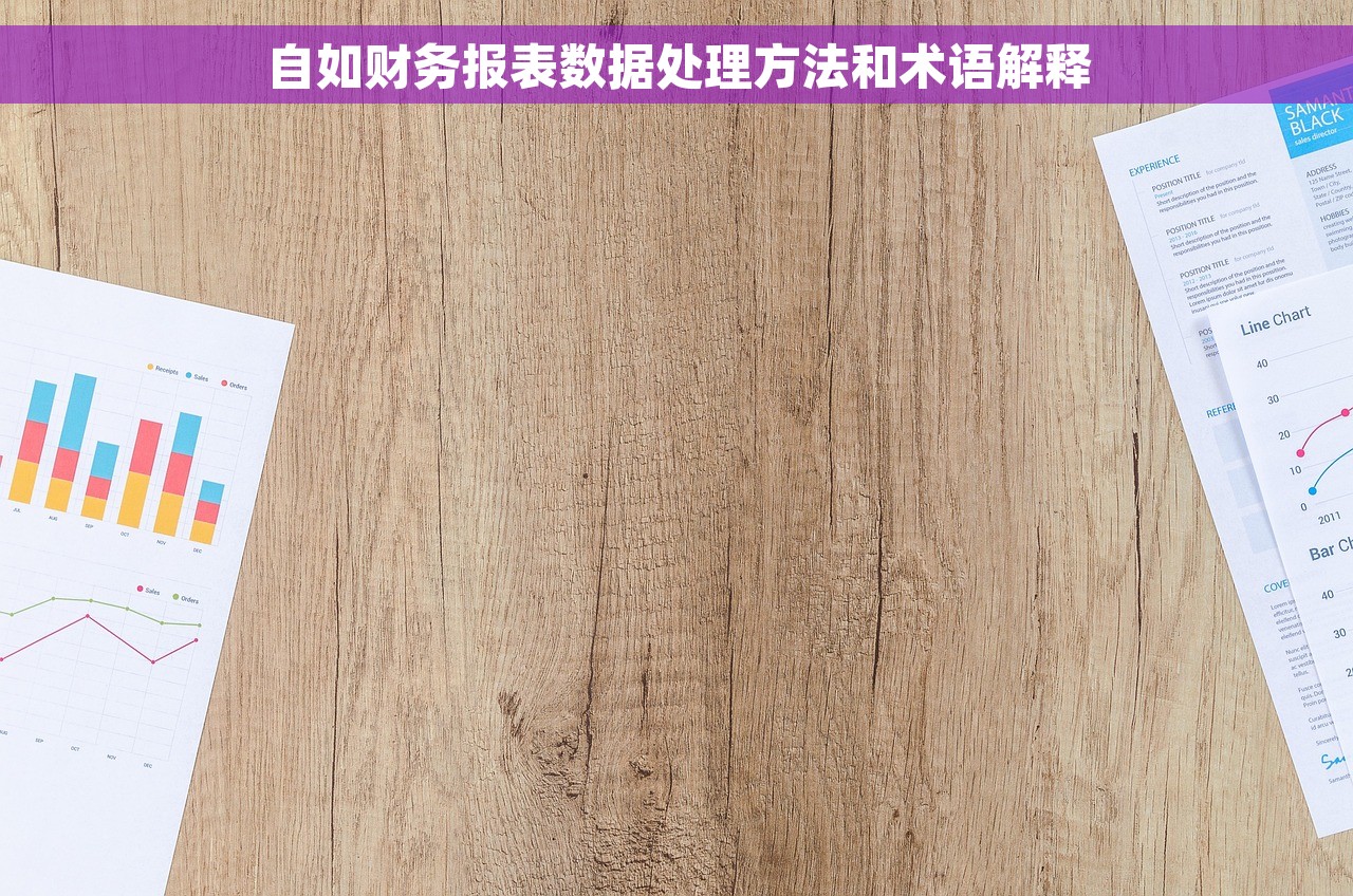 自如财务报表数据处理方法和术语解释