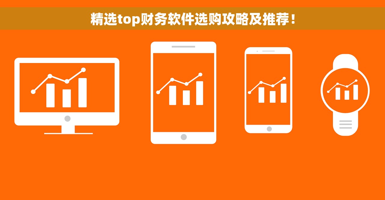 精选top财务软件选购攻略及推荐！