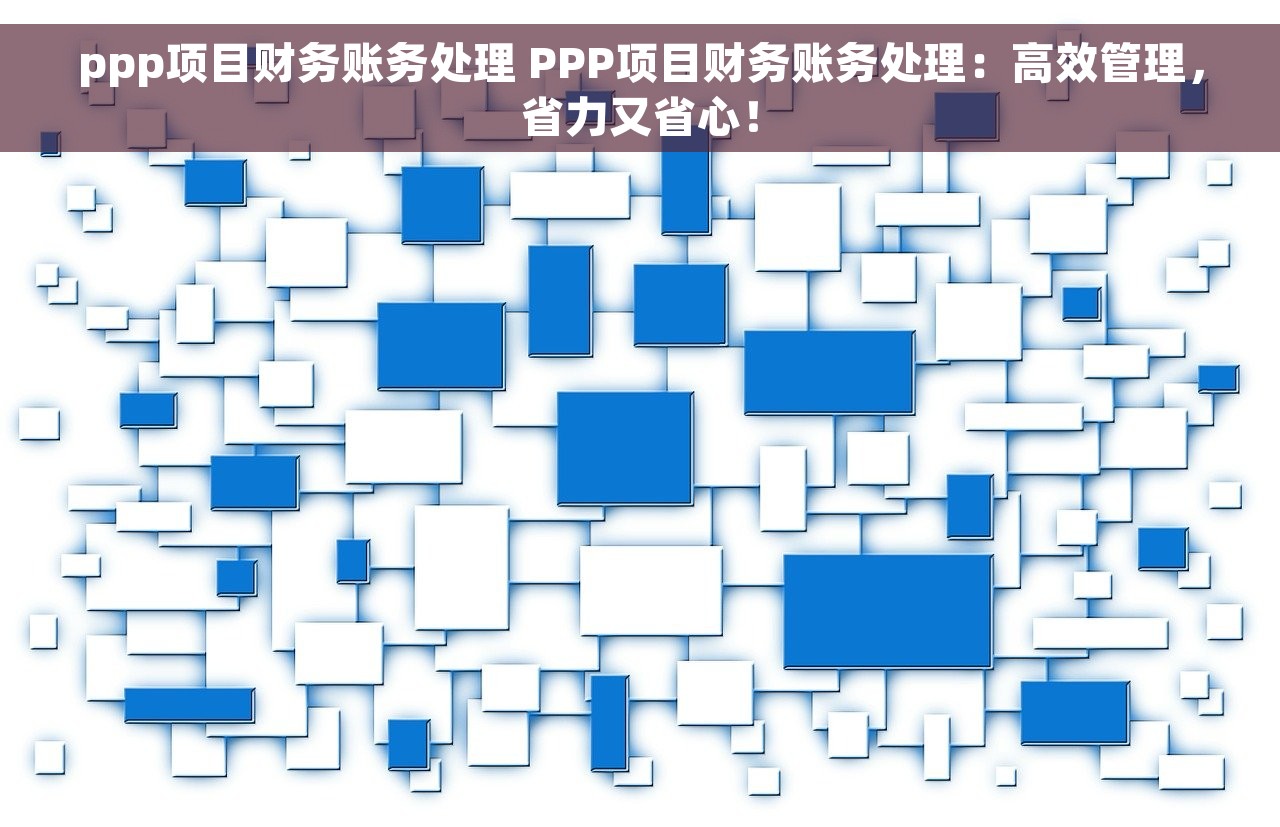 ppp项目财务账务处理 PPP项目财务账务处理：高效管理，省力又省心！