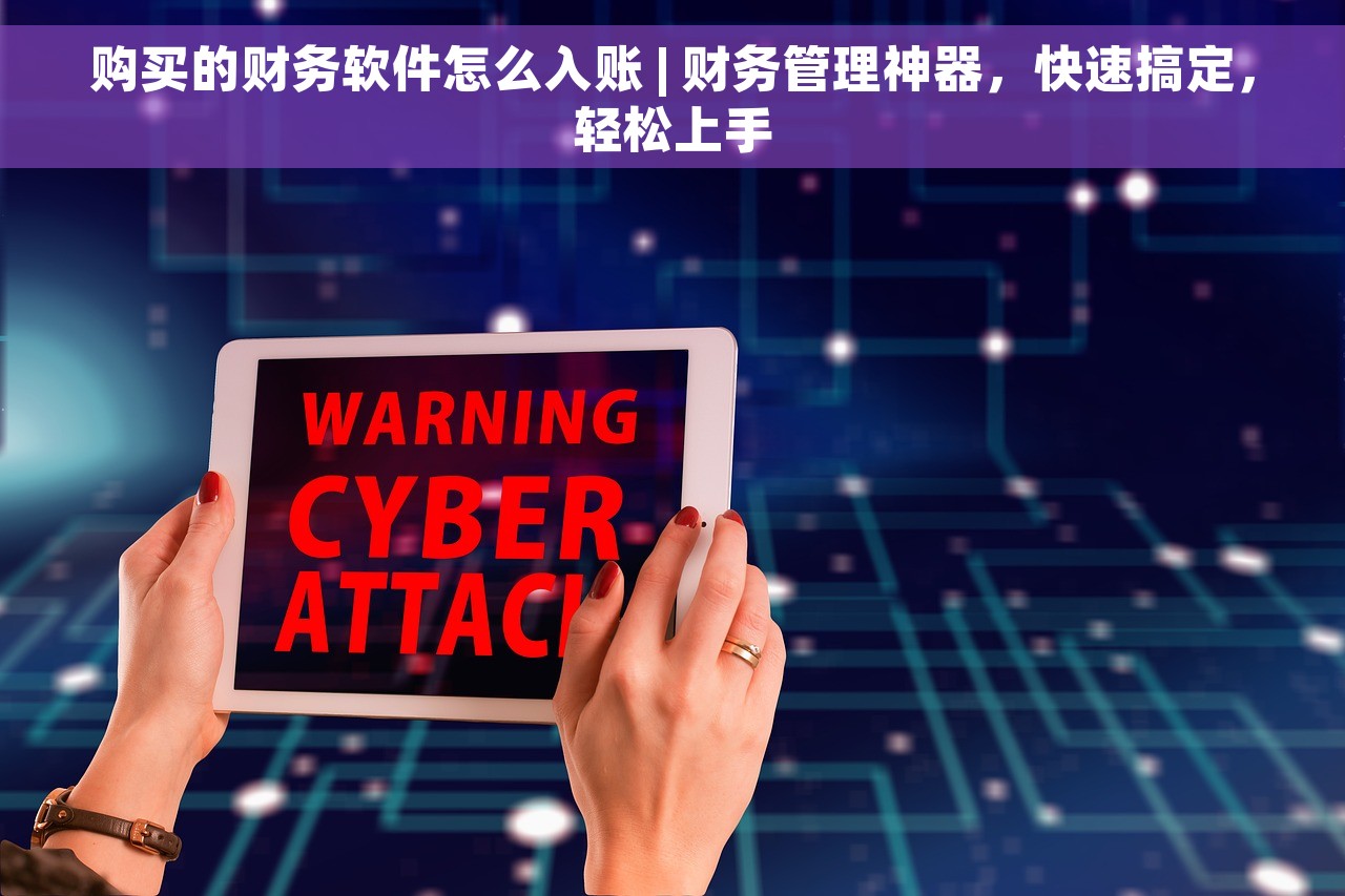 购买的财务软件怎么入账 | 财务管理神器，快速搞定，轻松上手