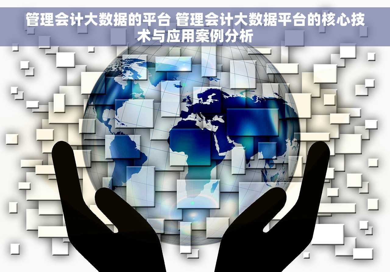 管理会计大数据的平台 管理会计大数据平台的核心技术与应用案例分析