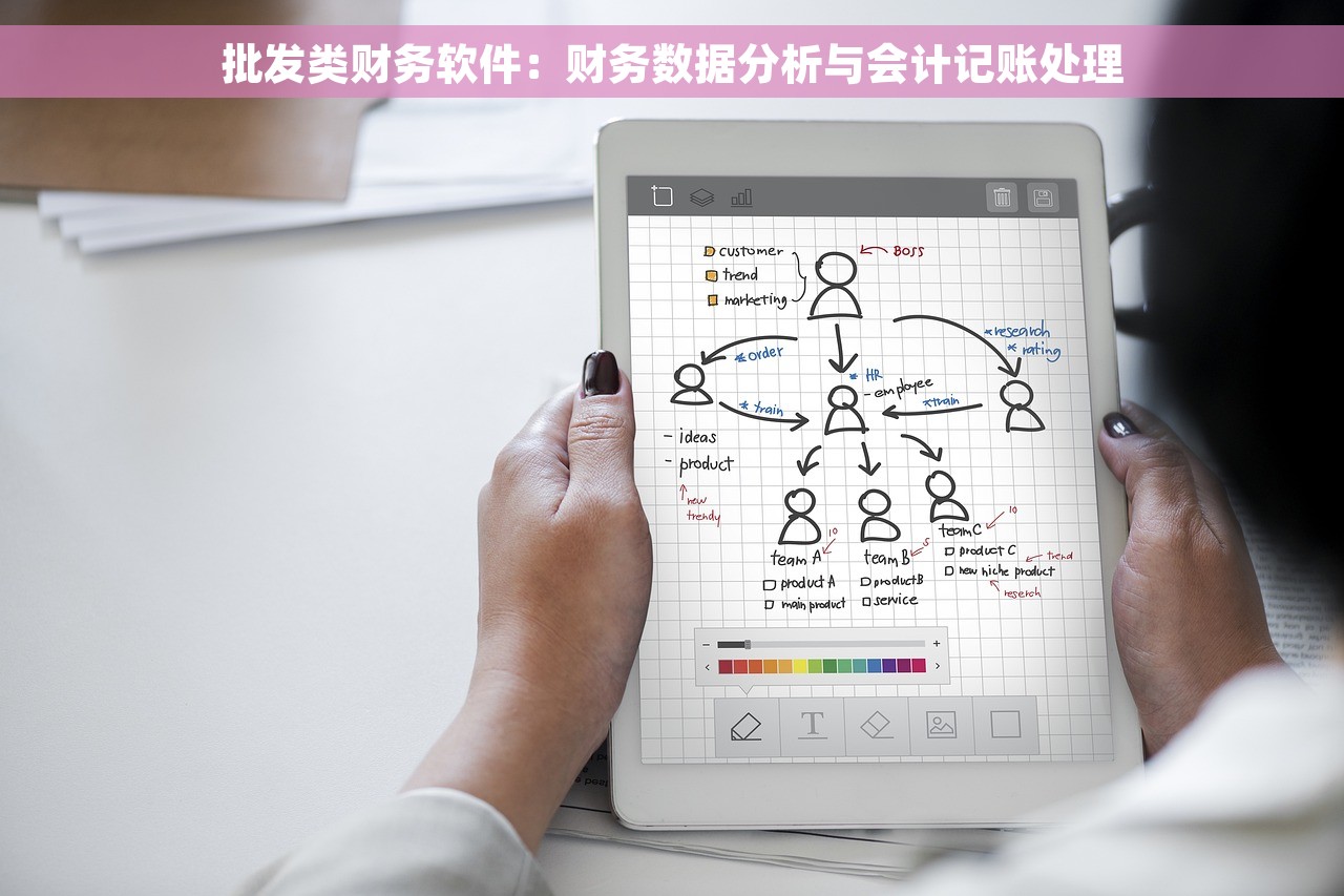 批发类财务软件：财务数据分析与会计记账处理
