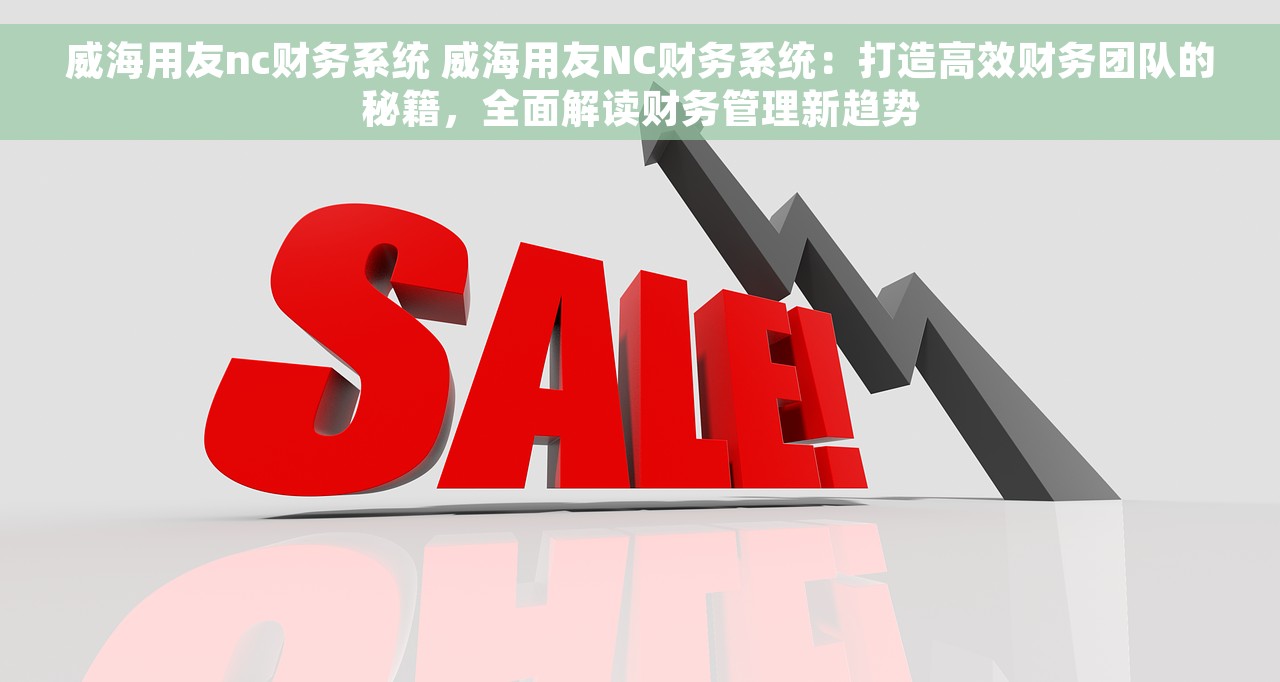 威海用友nc财务系统 威海用友NC财务系统：打造高效财务团队的秘籍，全面解读财务管理新趋势