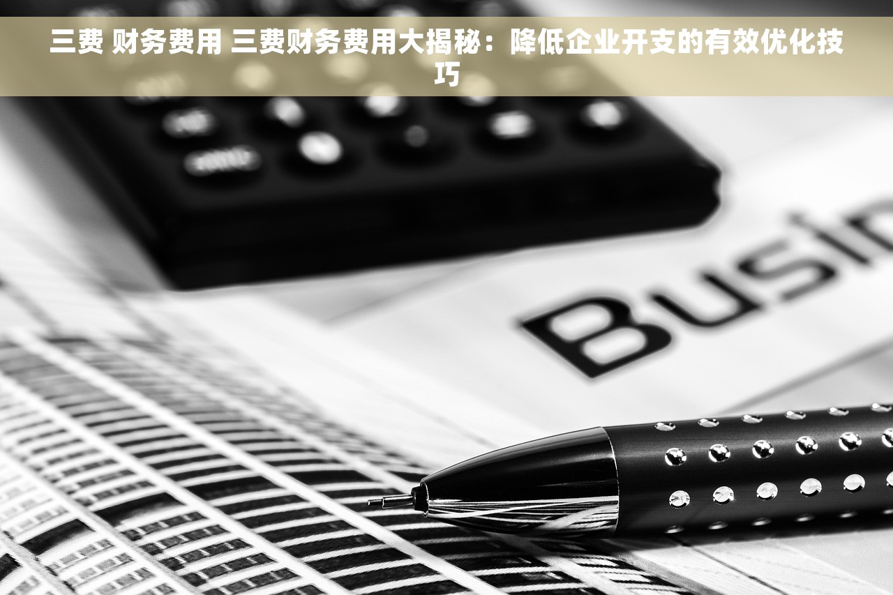 三费 财务费用 三费财务费用大揭秘：降低企业开支的有效优化技巧