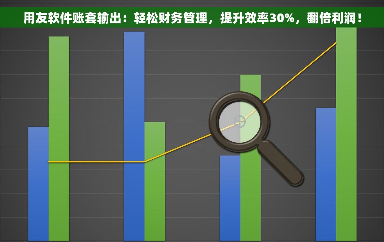 用友软件账套输出：轻松财务管理，提升效率30%，翻倍利润！