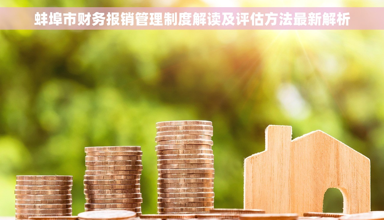 蚌埠市财务报销管理制度解读及评估方法最新解析