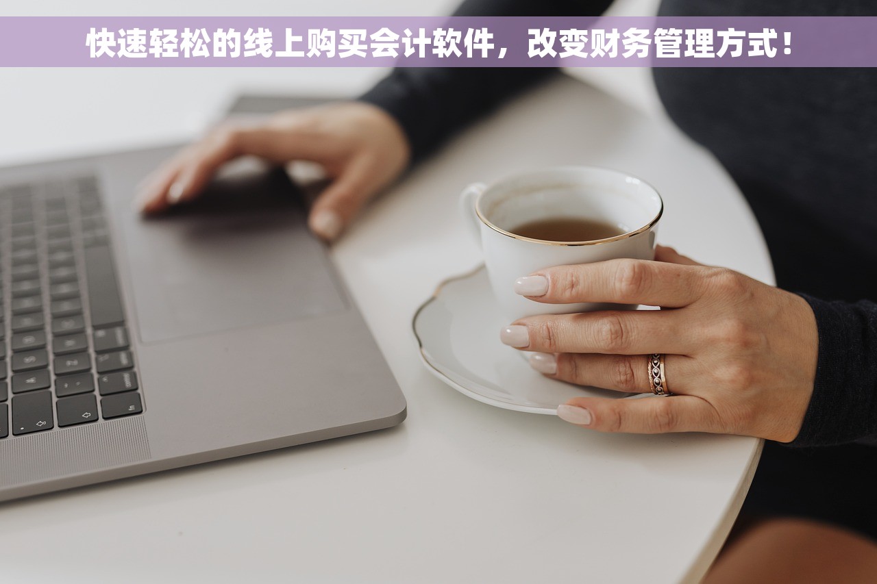 快速轻松的线上购买会计软件，改变财务管理方式！