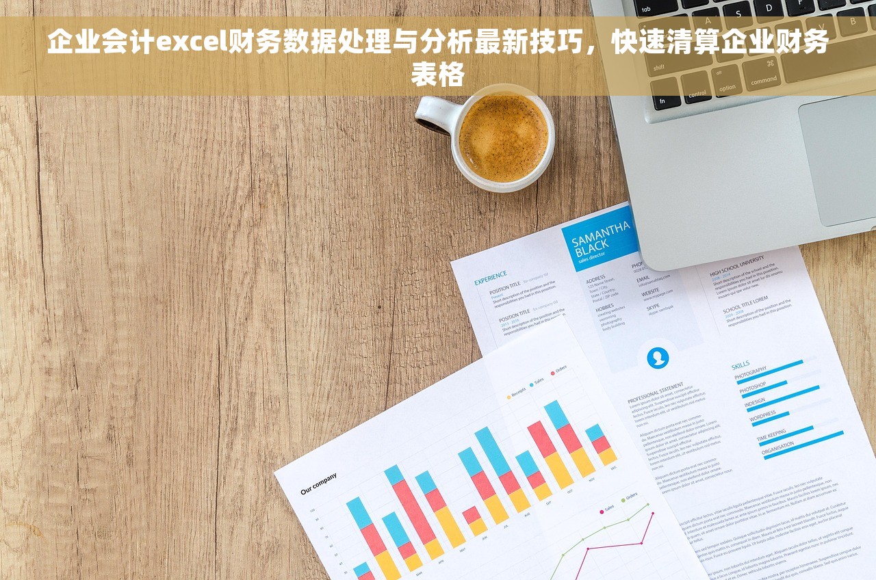 企业会计excel财务数据处理与分析最新技巧，快速清算企业财务表格