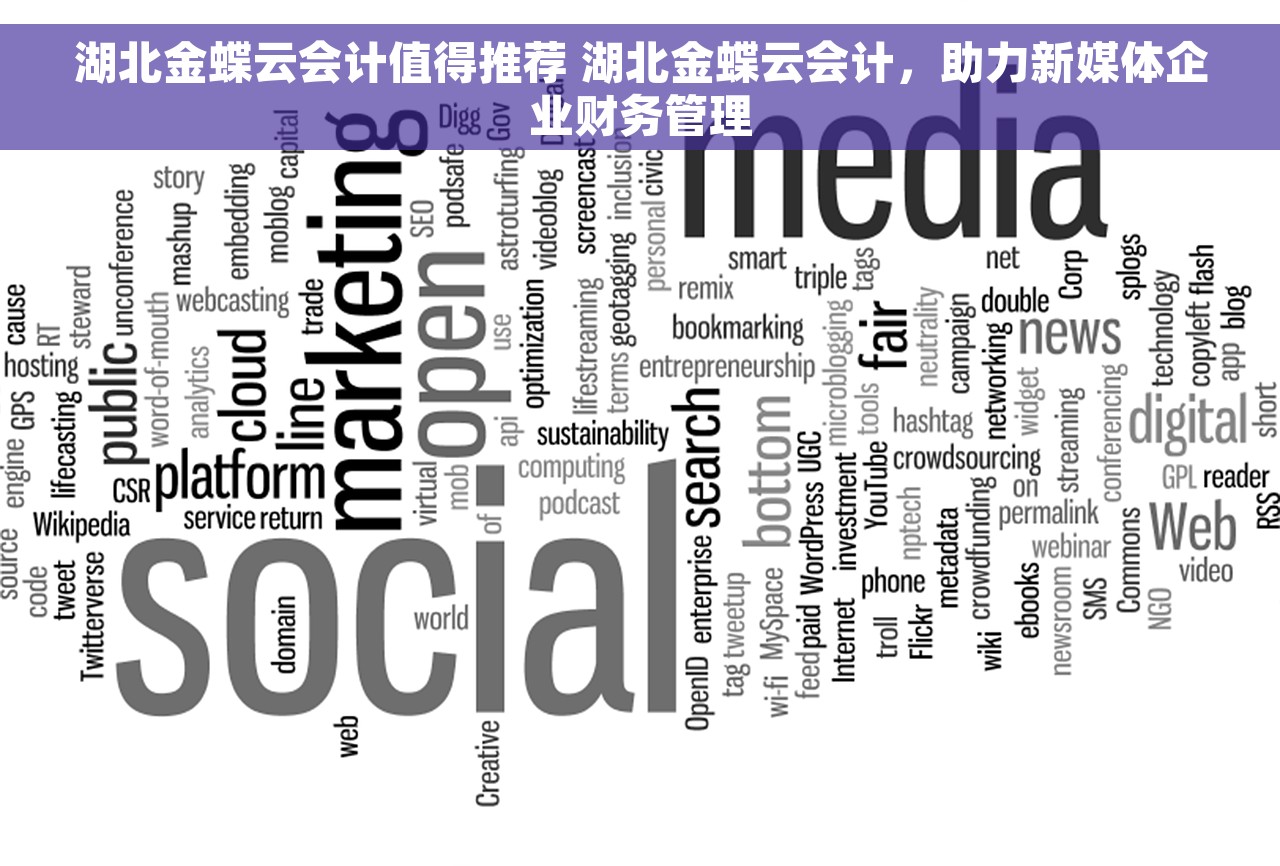 湖北金蝶云会计值得推荐 湖北金蝶云会计，助力新媒体企业财务管理