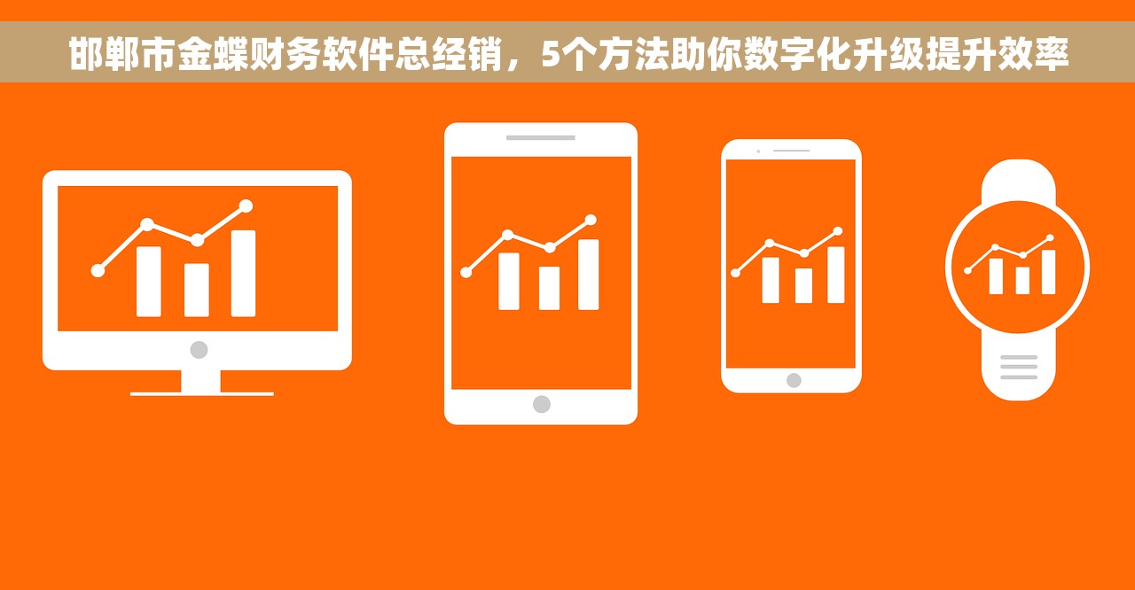 邯郸市金蝶财务软件总经销，5个方法助你数字化升级提升效率