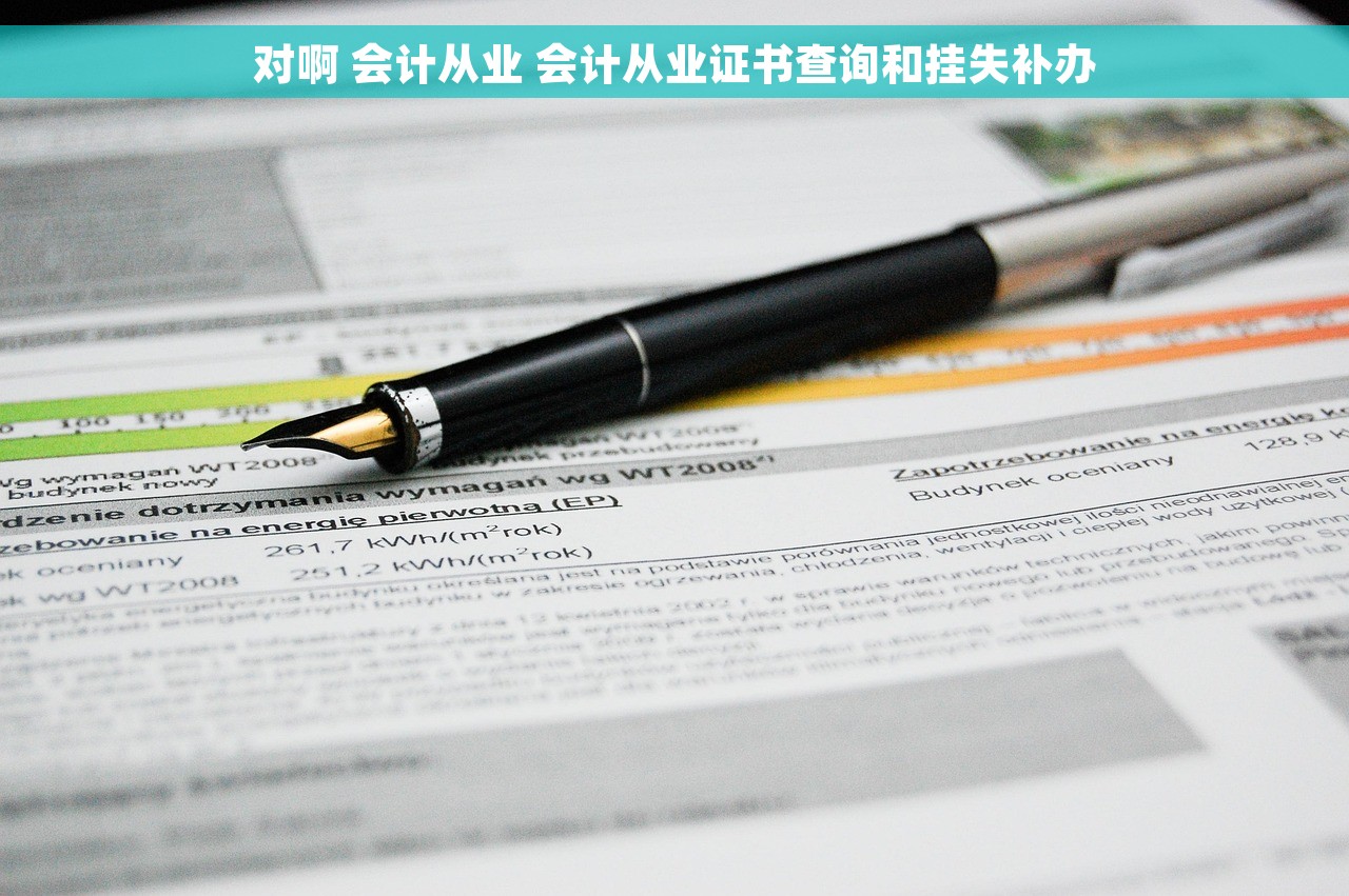 对啊 会计从业 会计从业证书查询和挂失补办