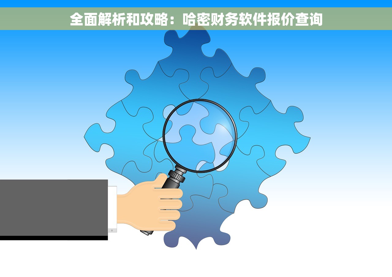 全面解析和攻略：哈密财务软件报价查询