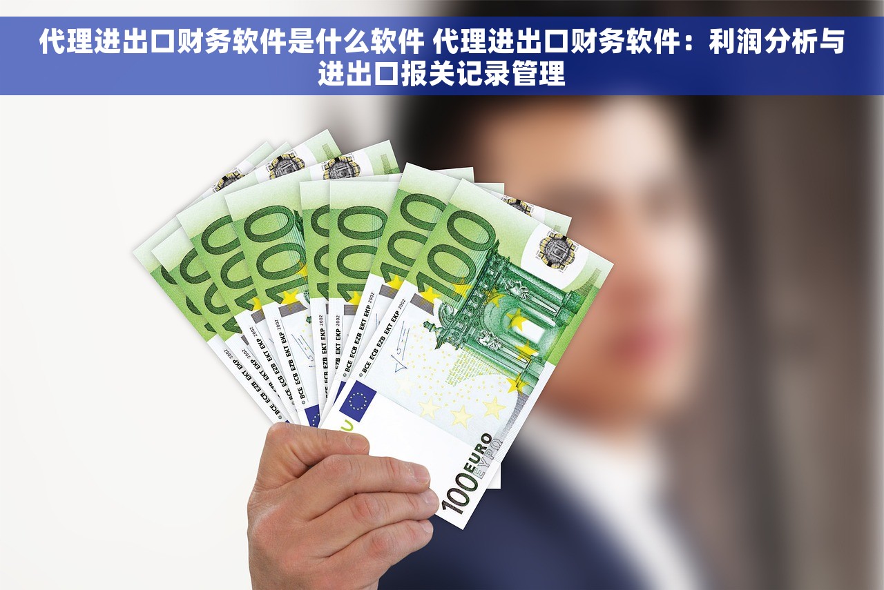 代理进出口财务软件是什么软件 代理进出口财务软件：利润分析与进出口报关记录管理