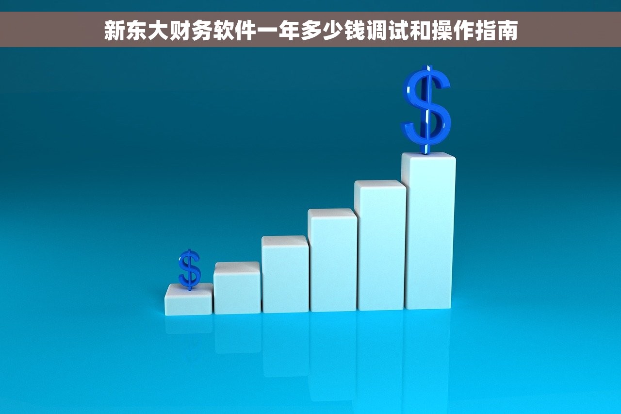 新东大财务软件一年多少钱调试和操作指南