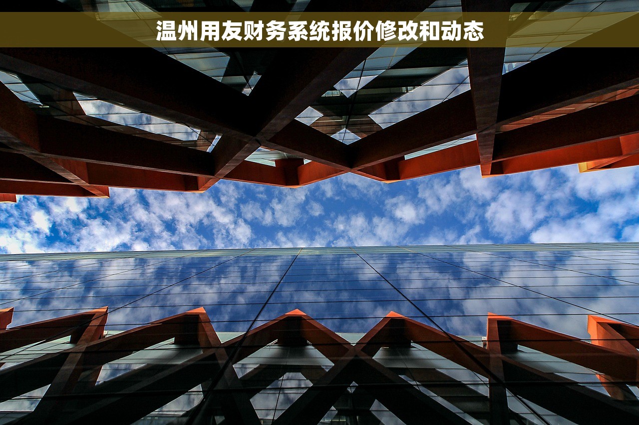 温州用友财务系统报价修改和动态