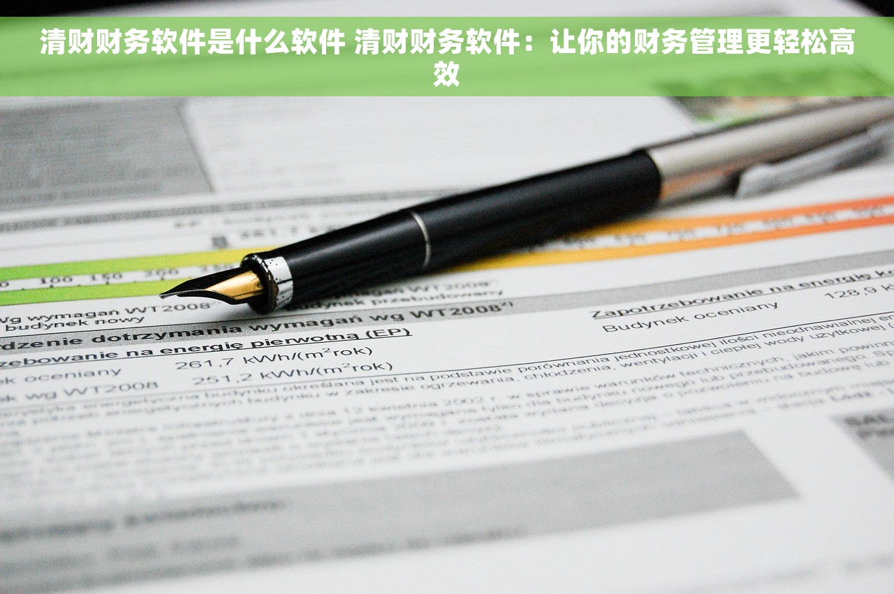 清财财务软件是什么软件 清财财务软件：让你的财务管理更轻松高效