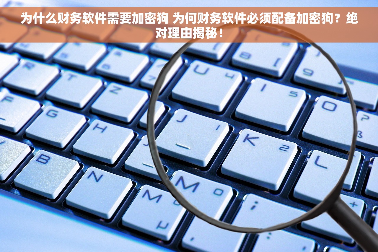 为什么财务软件需要加密狗 为何财务软件必须配备加密狗？绝对理由揭秘！