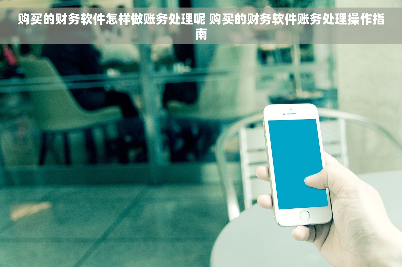 购买的财务软件怎样做账务处理呢 购买的财务软件账务处理操作指南