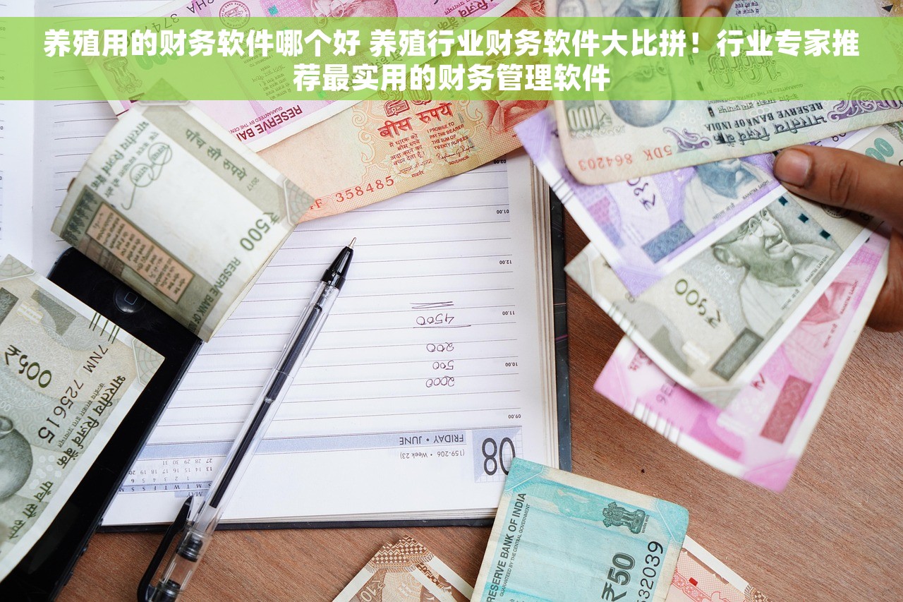 养殖用的财务软件哪个好 养殖行业财务软件大比拼！行业专家推荐最实用的财务管理软件