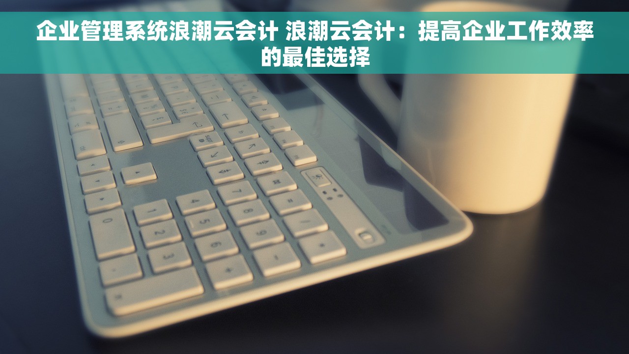 企业管理系统浪潮云会计 浪潮云会计：提高企业工作效率的最佳选择