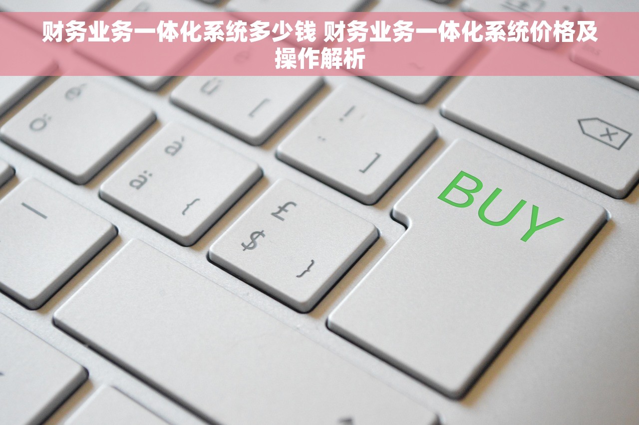 财务业务一体化系统多少钱 财务业务一体化系统价格及操作解析