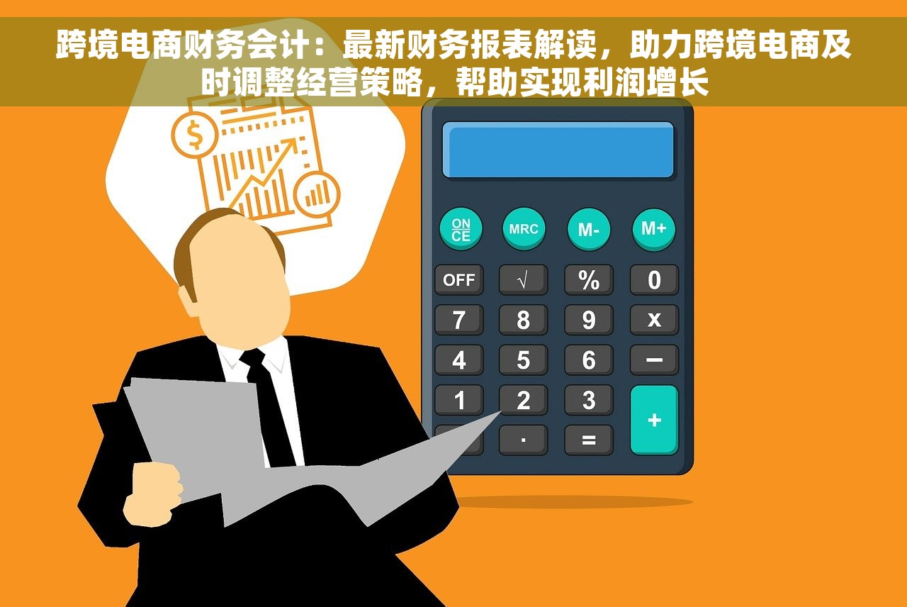 跨境电商财务会计:最新财务报表解读,助力跨境电商及时调整经营策略,帮助实现利润增长 跨境电商财务会计:最新财务报表解读,助力跨境电商及时调整经营策略,帮助实现利润增长