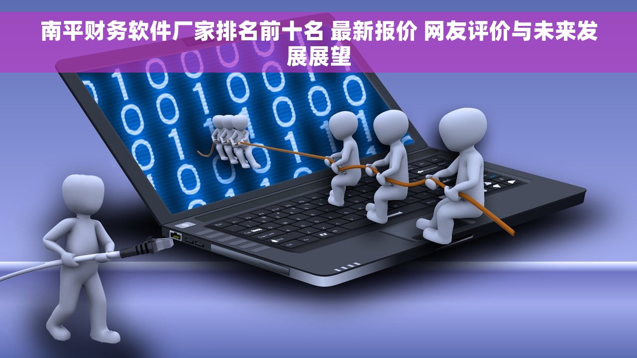南平财务软件厂家排名前十名 最新报价 网友评价与未来发展展望
