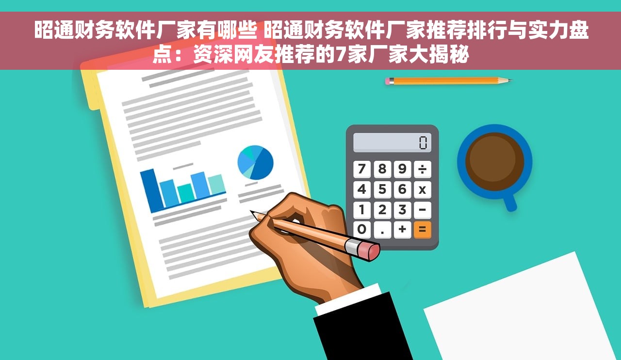 昭通财务软件厂家有哪些 昭通财务软件厂家推荐排行与实力盘点：资深网友推荐的7家厂家大揭秘