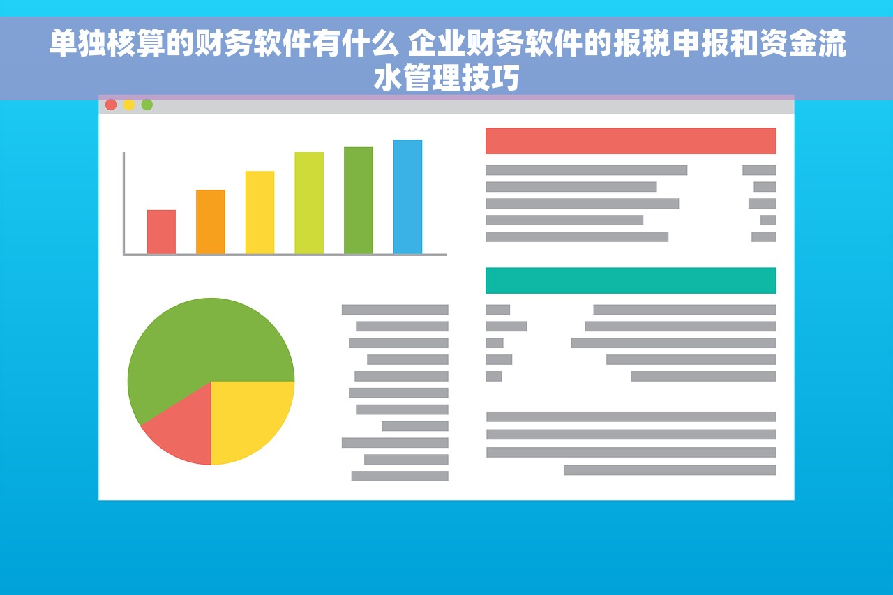 单独核算的财务软件有什么 企业财务软件的报税申报和资金流水管理技巧