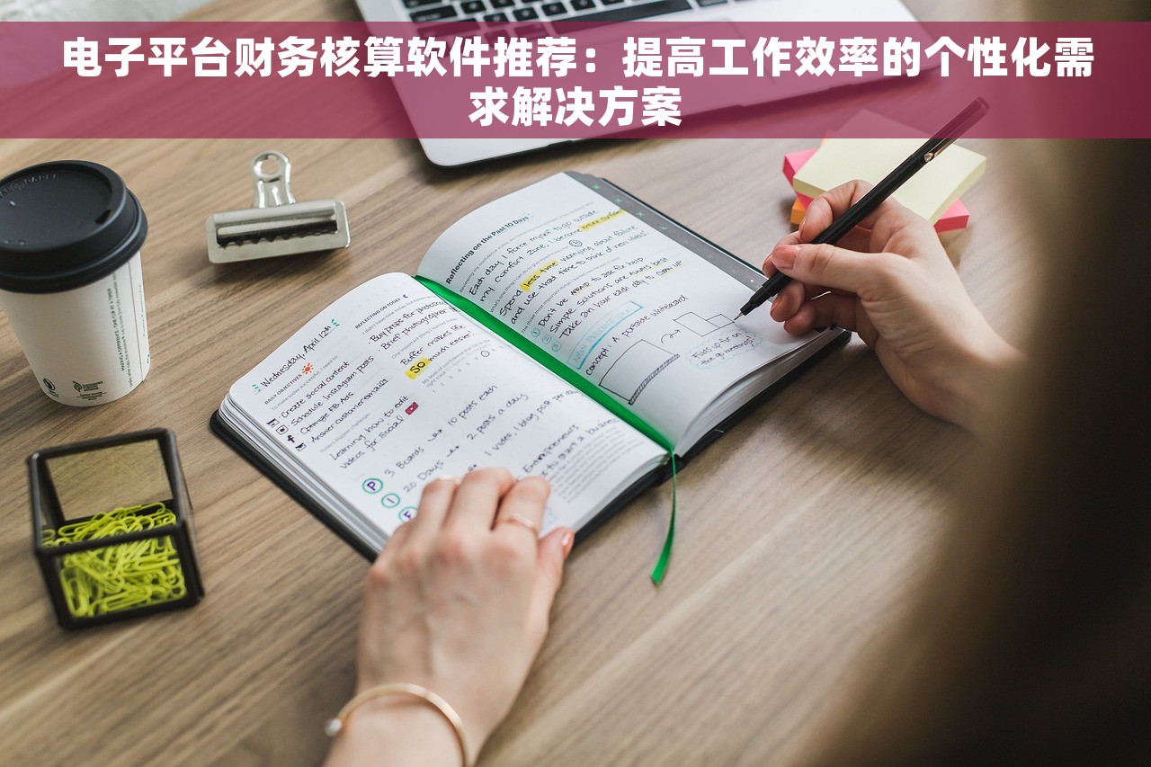 电子平台财务核算软件推荐：提高工作效率的个性化需求解决方案