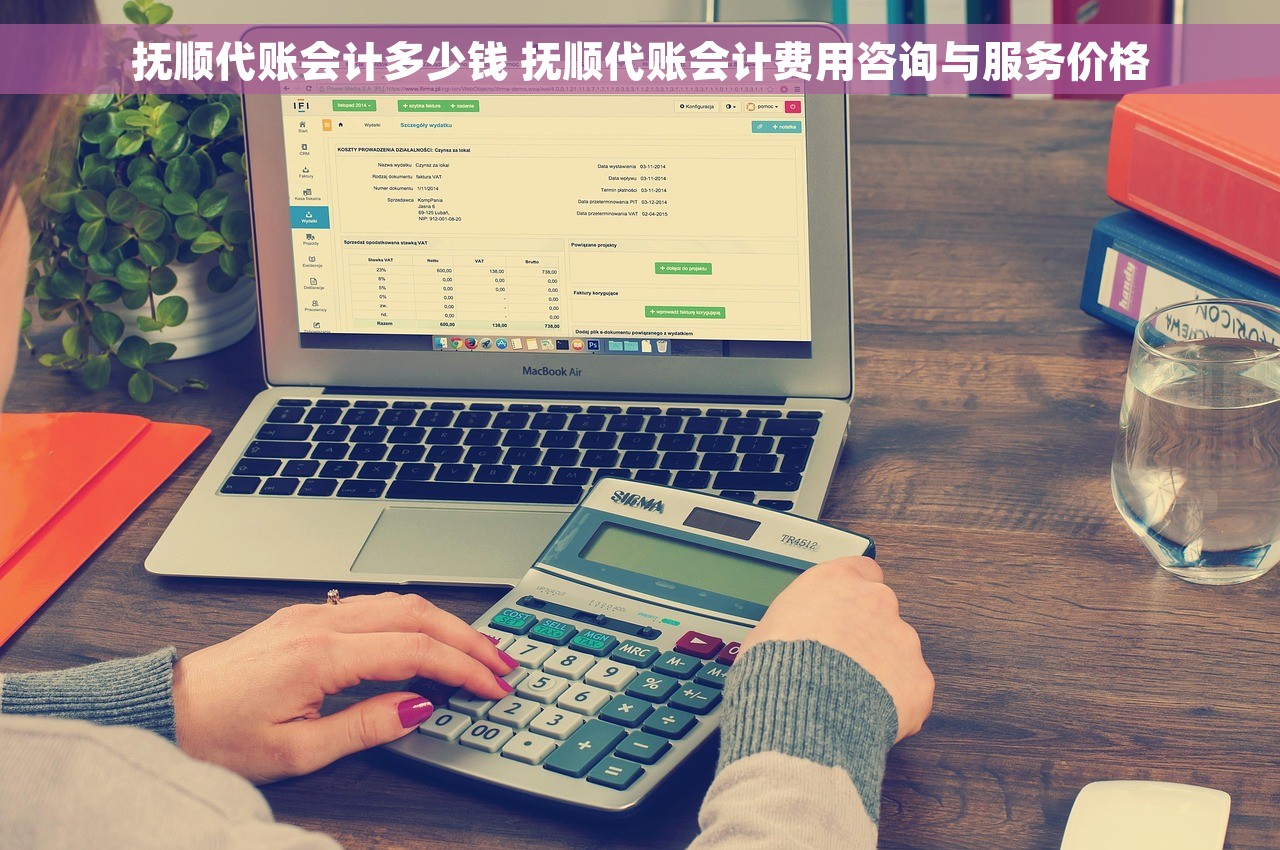 抚顺代账会计多少钱 抚顺代账会计费用咨询与服务价格