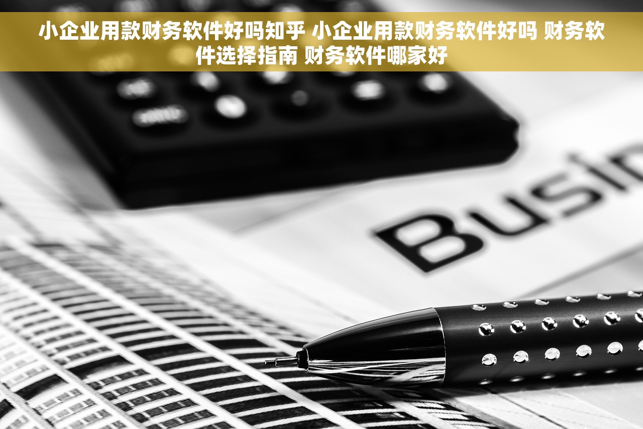 小企业用款财务软件好吗知乎 小企业用款财务软件好吗 财务软件选择指南 财务软件哪家好