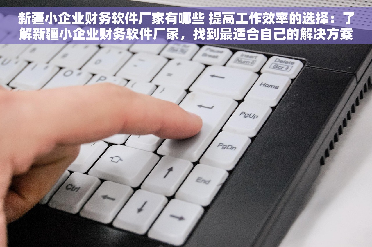 新疆小企业财务软件厂家有哪些 提高工作效率的选择：了解新疆小企业财务软件厂家，找到最适合自己的解决方案