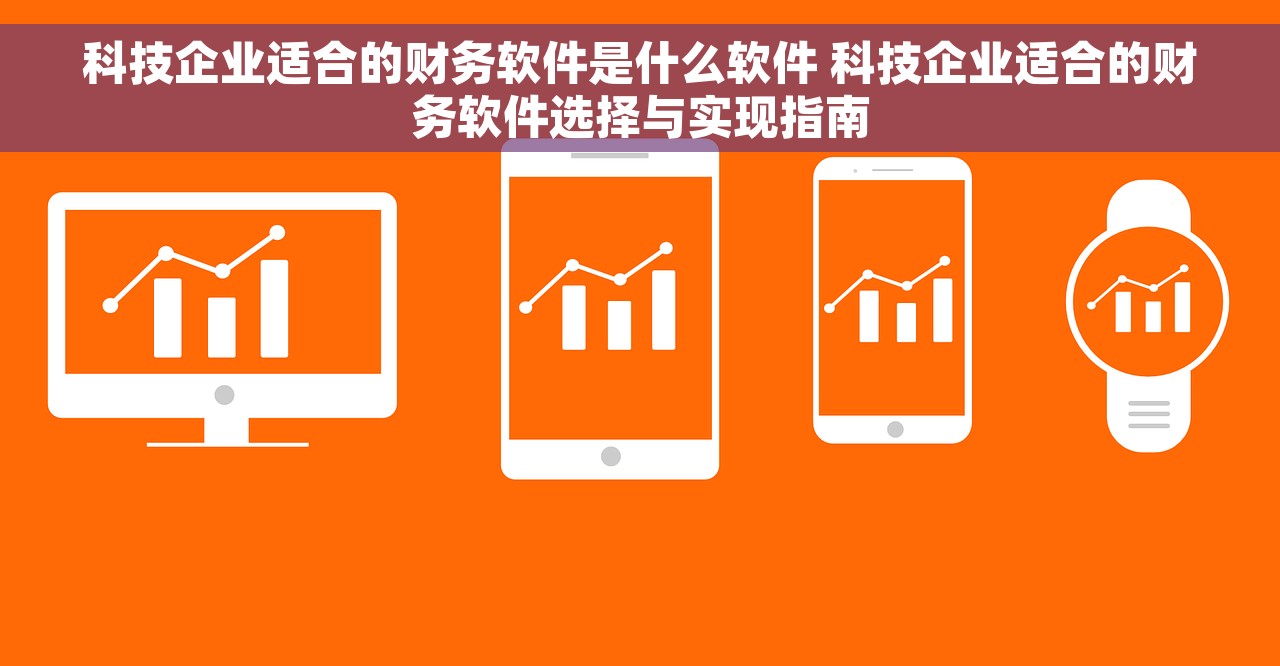 科技企业适合的财务软件是什么软件 科技企业适合的财务软件选择与实现指南