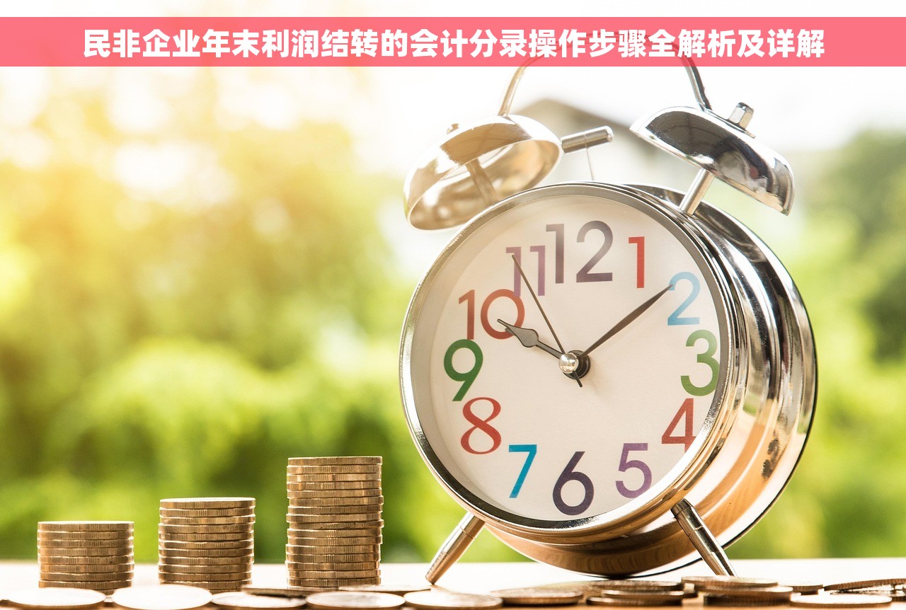 民非企业年末利润结转的会计分录操作步骤全解析及详解
