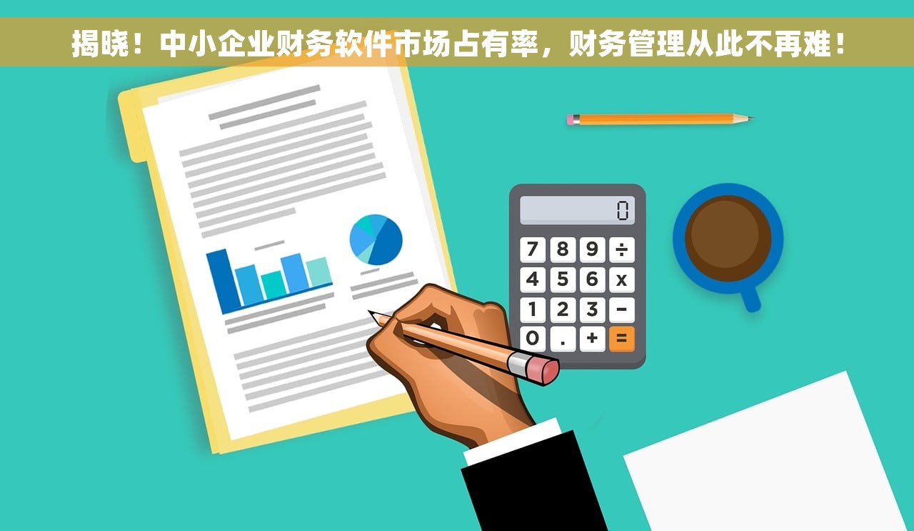 揭晓！中小企业财务软件市场占有率，财务管理从此不再难！