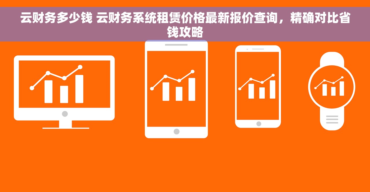 云财务多少钱 云财务系统租赁价格最新报价查询，精确对比省钱攻略