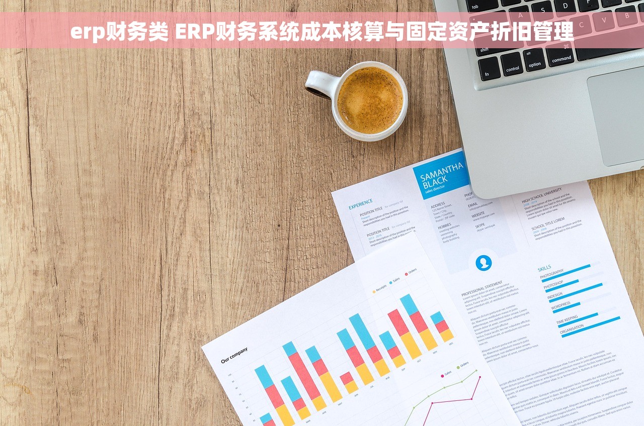 erp财务类 ERP财务系统成本核算与固定资产折旧管理